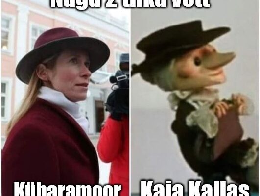 Kaja Kallas Kübaramoor