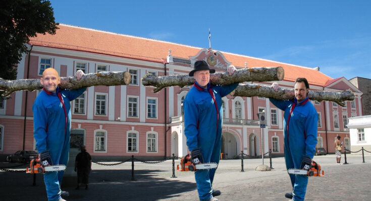 Riigikogu liikmed tassivad palki