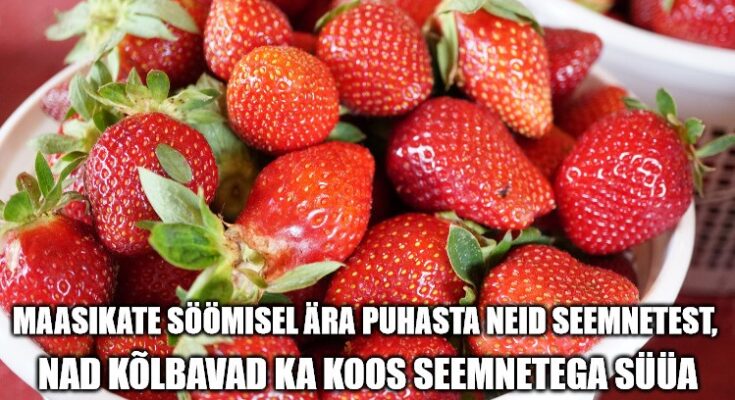 Maasikad