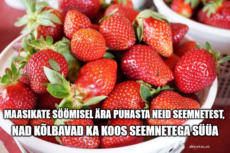 Maasikad