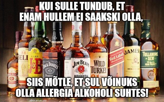 Alkoholipudelid